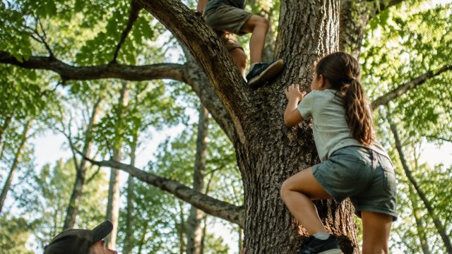 Adventures in Nature: A Day of Tree Climbing with Family