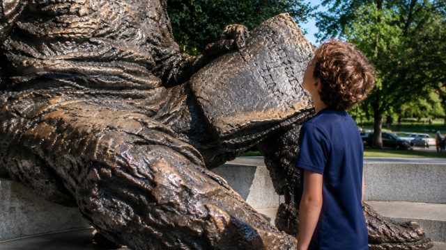Discovering DC: The Unique Alb