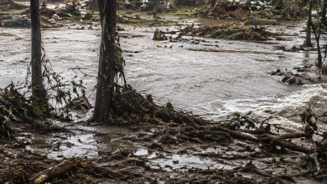 Tragedy Strikes: Camp Mystic F
