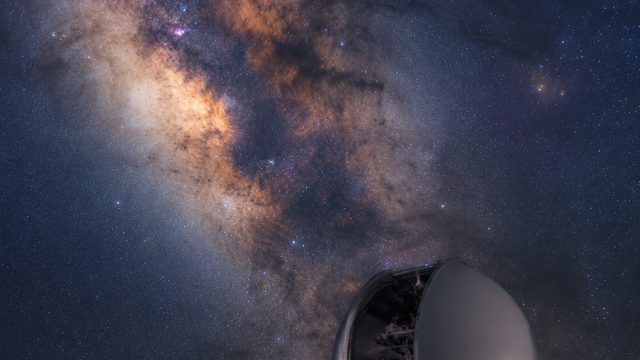 New Discovery Unveils the Hear