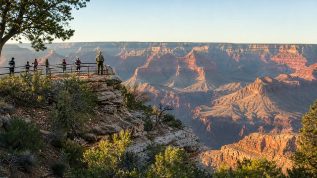 Grand Canyon Sees Healing Afte